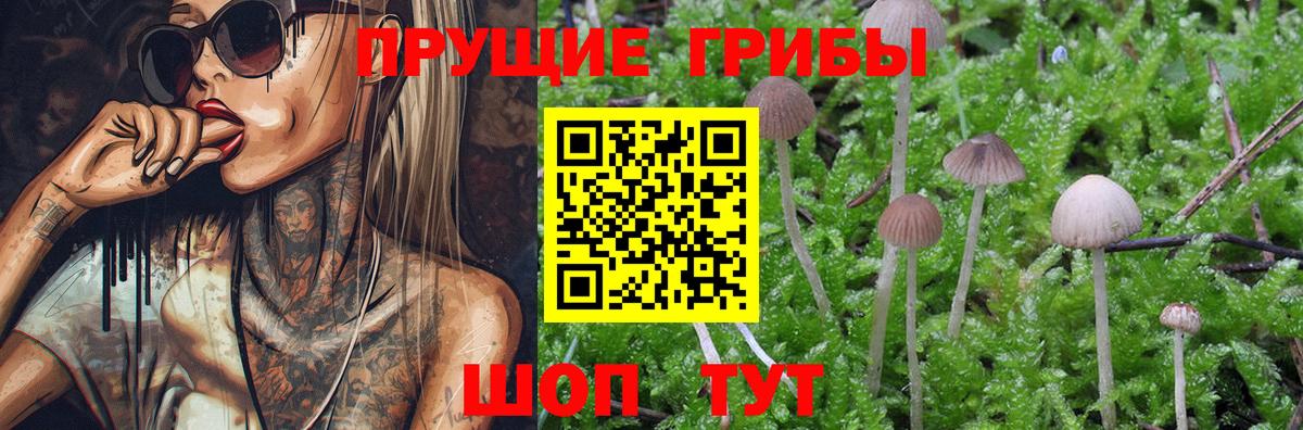 Галлюциногенные грибы мицелий Нурлат