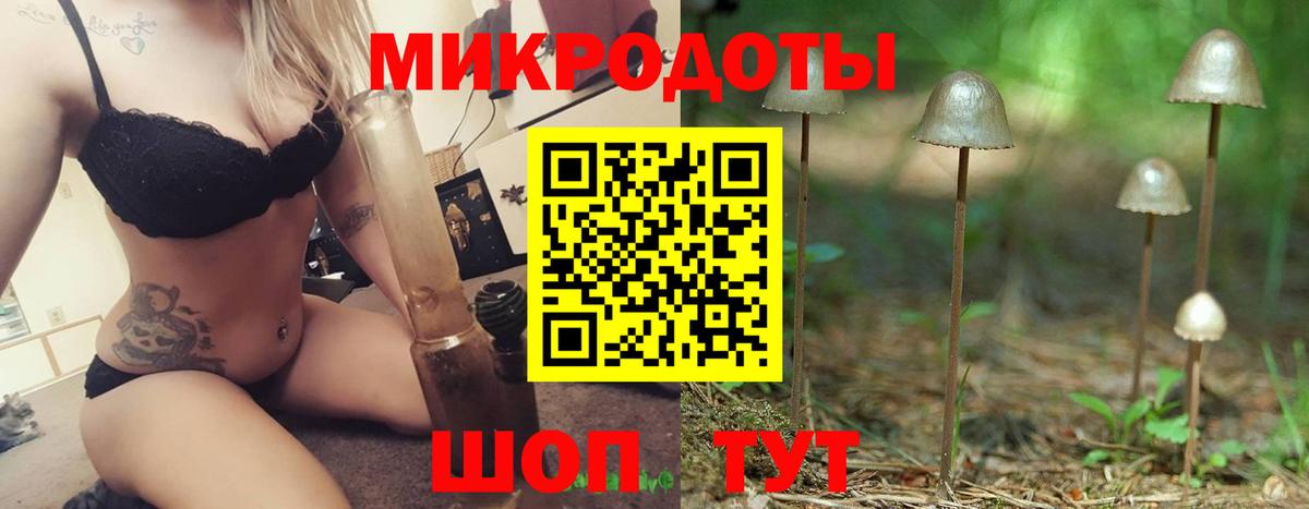 Нурлат  Галлюциногенные грибы Psilocybine cubensis  Вход с VPN 